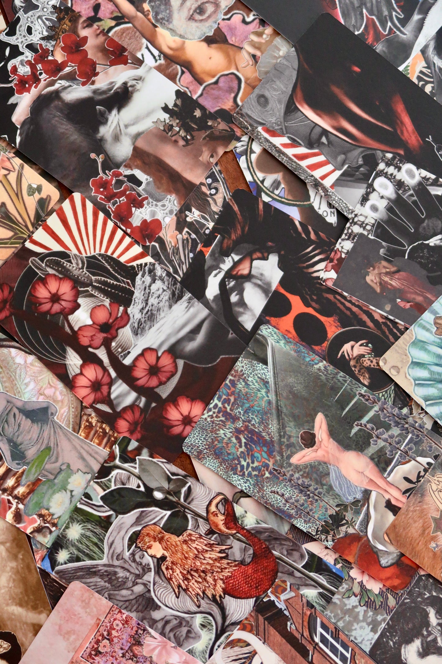 The Deck of Presence - Affirmations for Quiet Confidence and Inner Authority