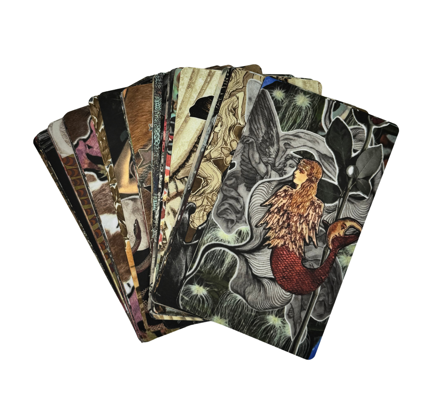 The Deck of Presence - Affirmations for Quiet Confidence and Inner Authority